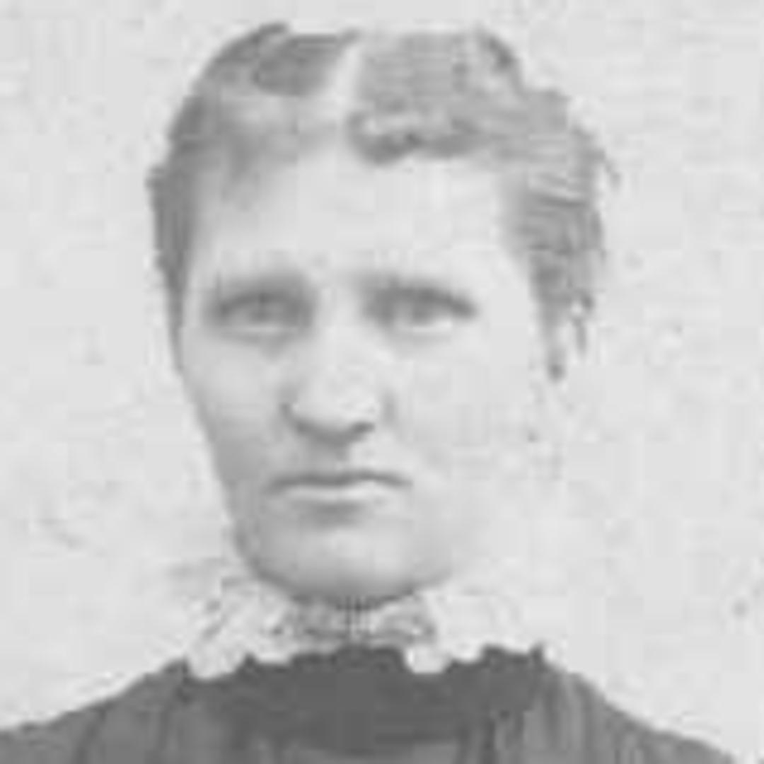 Frances Elizabeth Webster (1864 - 1946) Profile